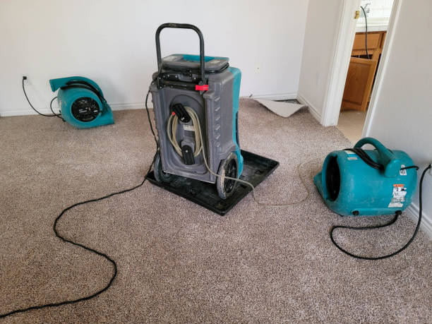 Best Commercial water damage restoration  in Big Stone Gap, VA